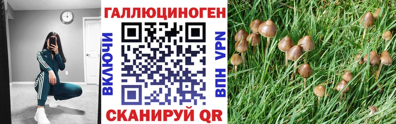 маркетплейс наркотические препараты  Красноуральск  Псилоцибиновые грибы Psilocybine cubensis 